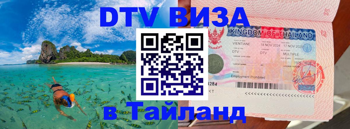 Оформление DTV визы под ключ: стоимость и тарифы, только загранпаспорт - Домодедово  05.12.2025 